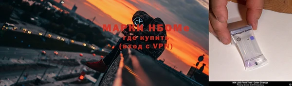 мдпв Алзамай